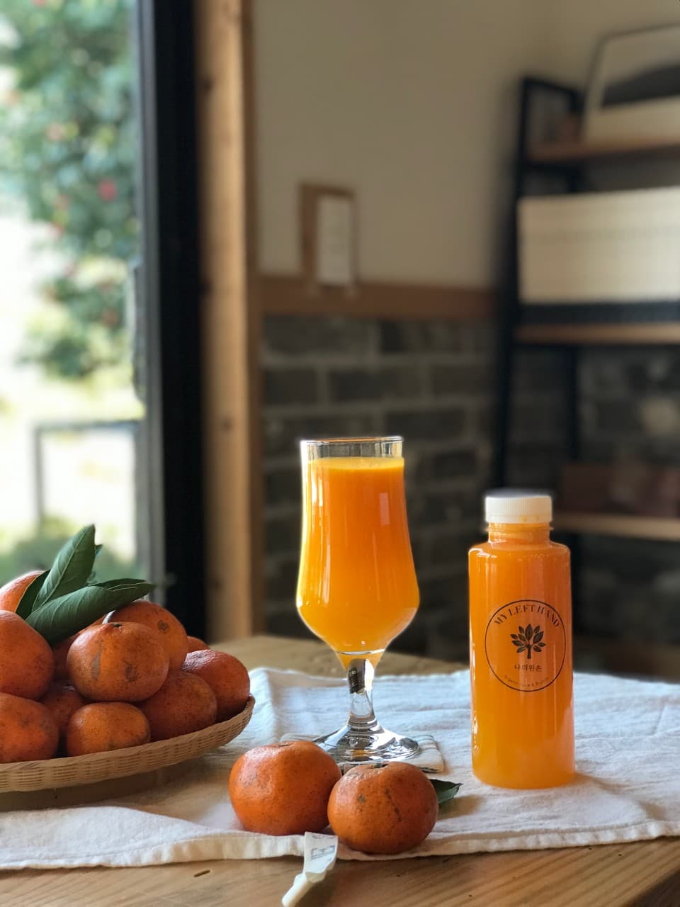나의왼손 사진 2