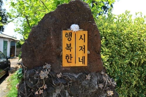 행복한시저네 사진 3