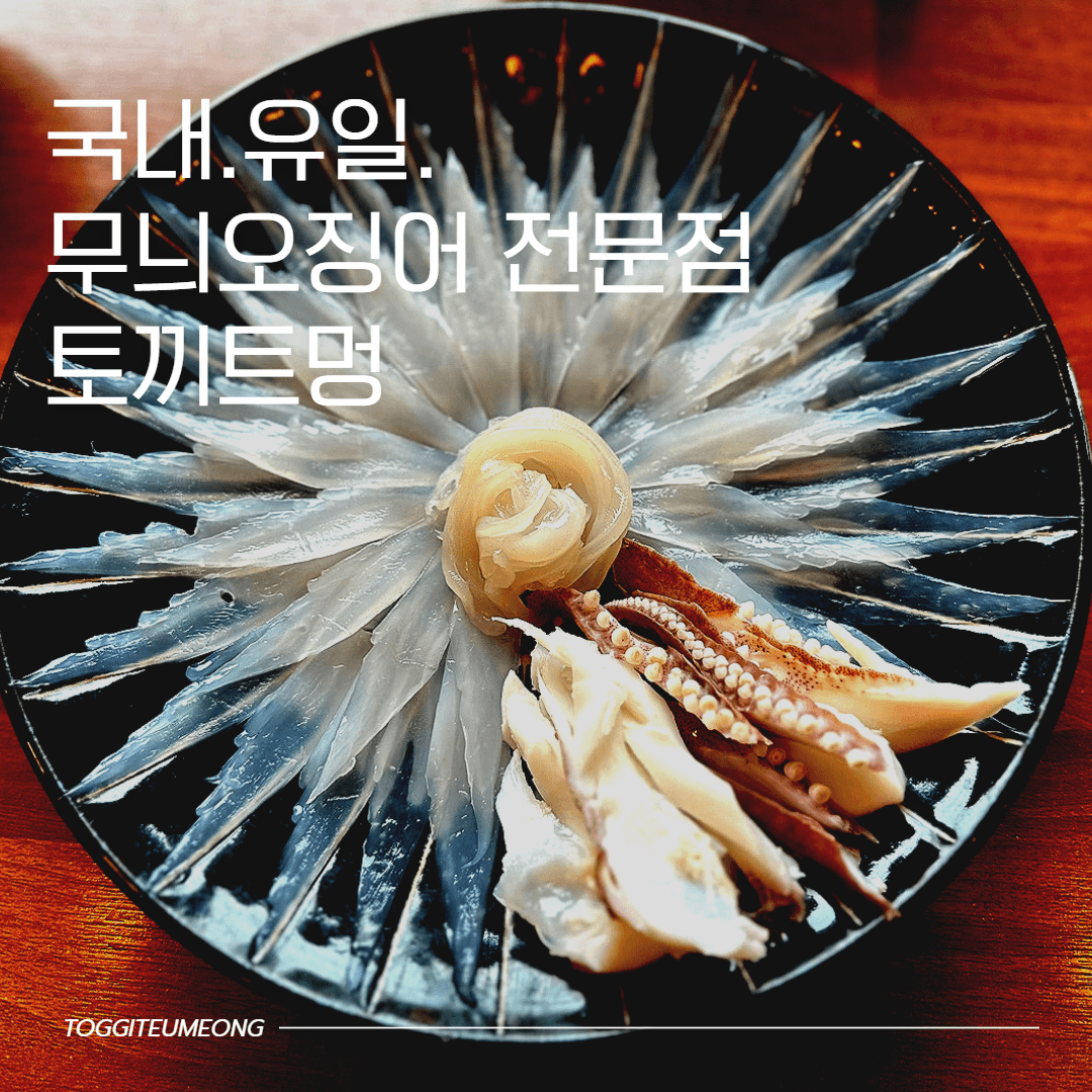 토끼트멍 사진 2