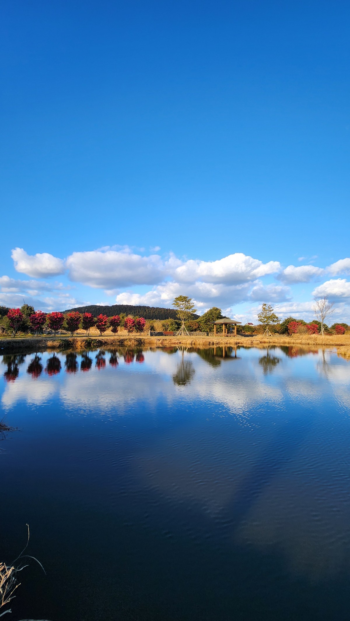 5fbcfdb63c5769e296573bfa644fcfad_1740741697_6075.jpg class=